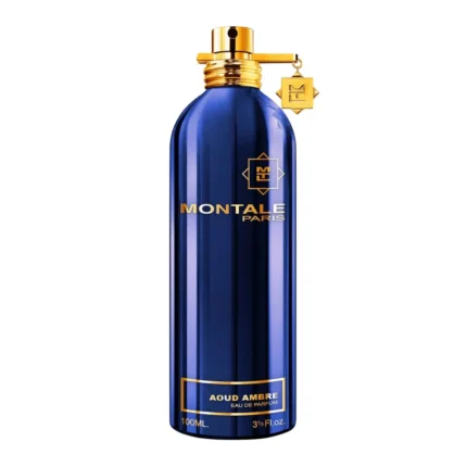 Montale Aoud Ambre - Unisex - Eau De Parfum 100Ml