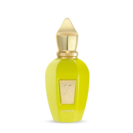 Xerjoff Amabile - Unisex - Eau De Parfum 100Ml